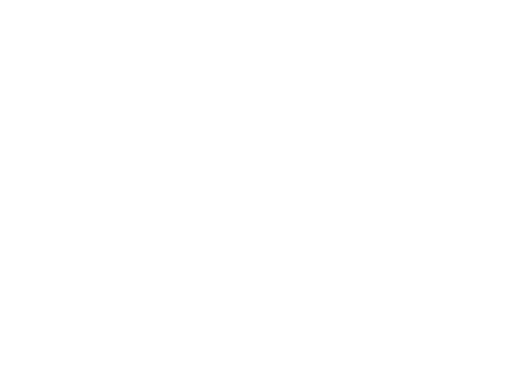 Dominic Lang